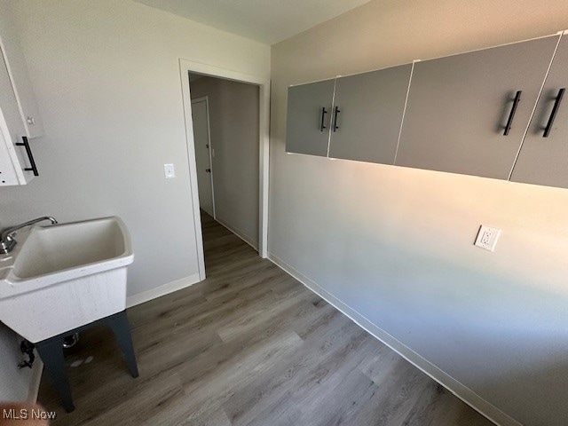 bathroom featuring wood-type flooring