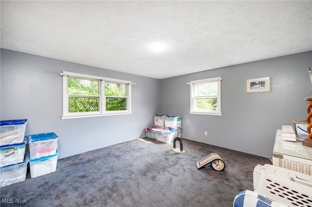 interior space with a textured ceiling and carpet floors