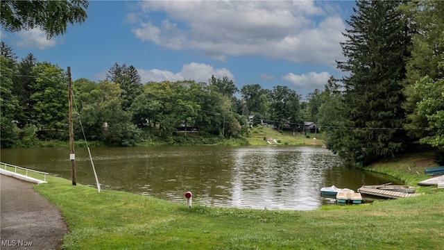 view of water feature