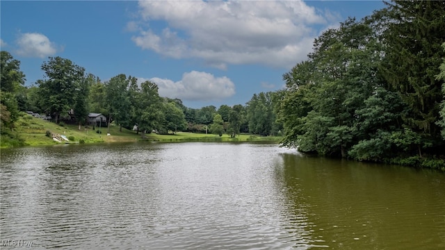 view of water feature