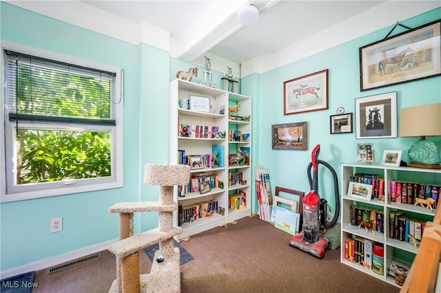 playroom with beam ceiling and carpet flooring