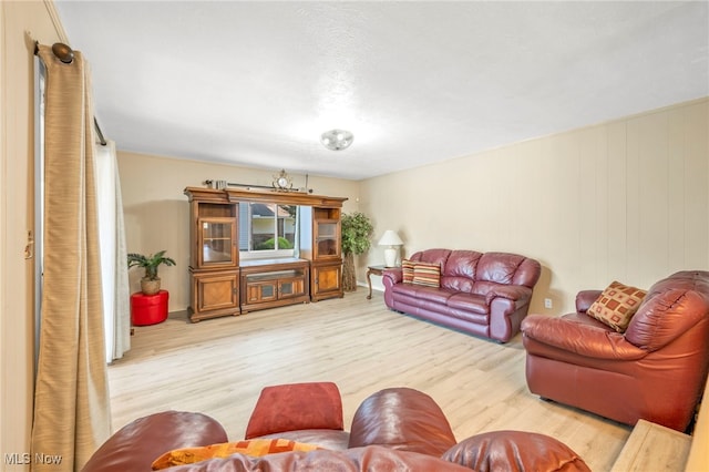 living room featuring light hardwood / wood-style floors