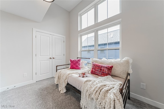 sitting room featuring a high ceiling and carpet floors