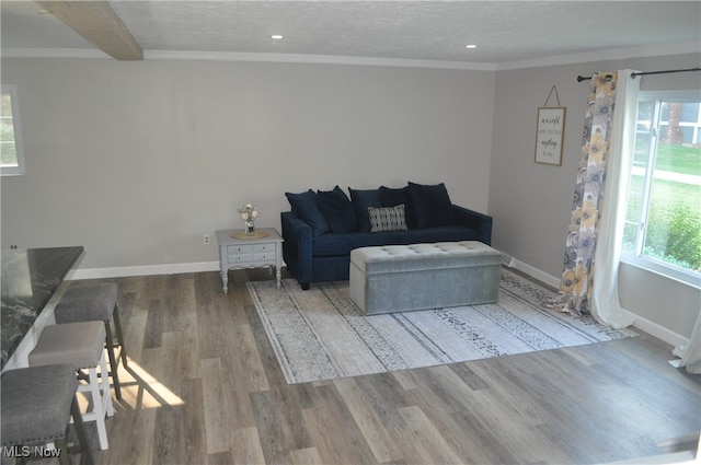 living room with ornamental molding, wood-type flooring, beam ceiling, and a textured ceiling