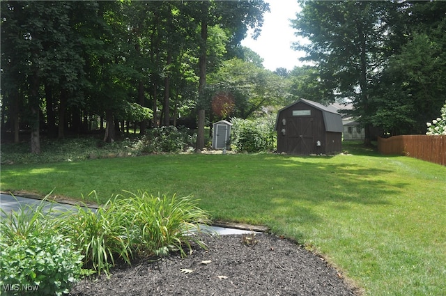 view of yard with a shed