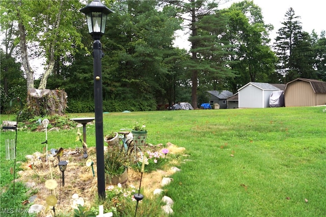 view of yard featuring a shed