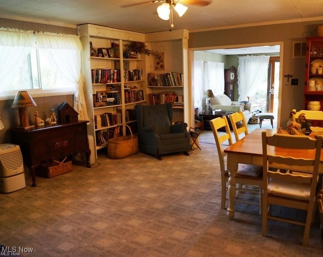 carpeted dining room with ceiling fan, a healthy amount of sunlight, and crown molding