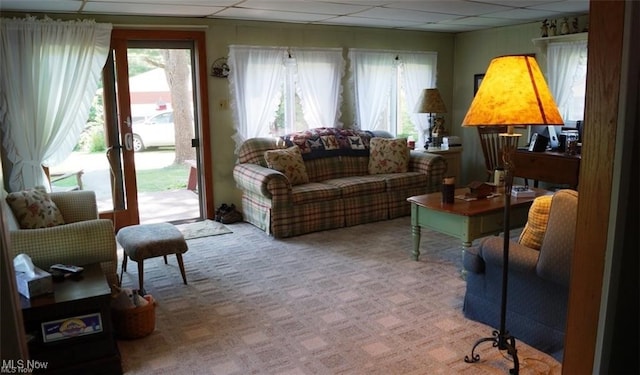 carpeted living room featuring a paneled ceiling