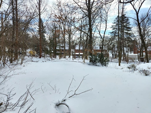 view of snowy yard