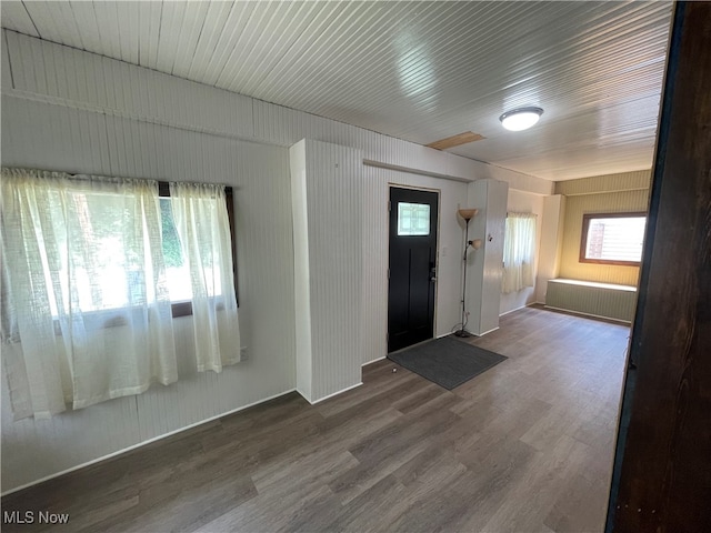 foyer featuring a healthy amount of sunlight and hardwood / wood-style floors