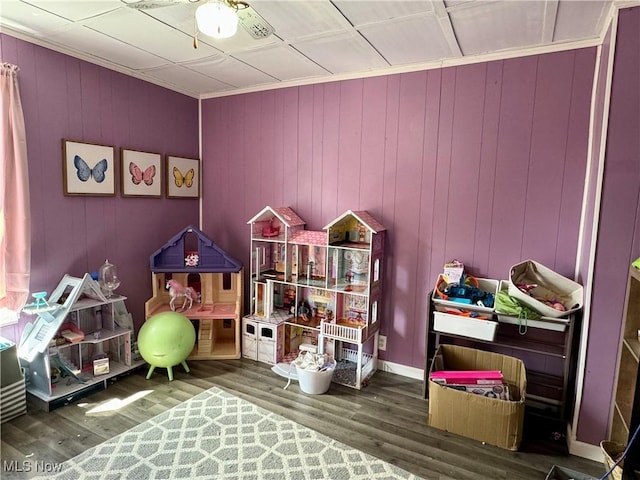 game room with wood-type flooring