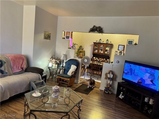 living room with hardwood / wood-style flooring