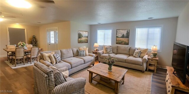 living room with a textured ceiling, hardwood / wood-style flooring, and plenty of natural light