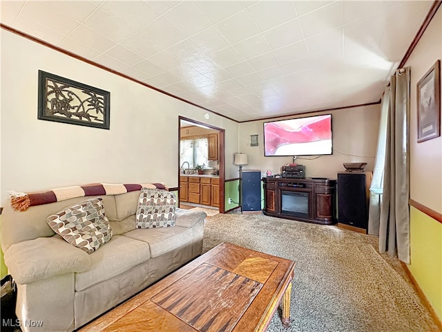 carpeted living room featuring ornamental molding and sink