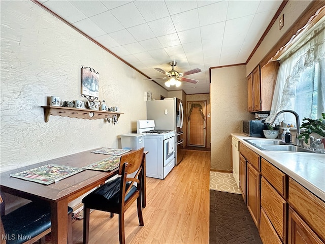 kitchen featuring ceiling fan, sink, white appliances, light wood-type flooring, and crown molding