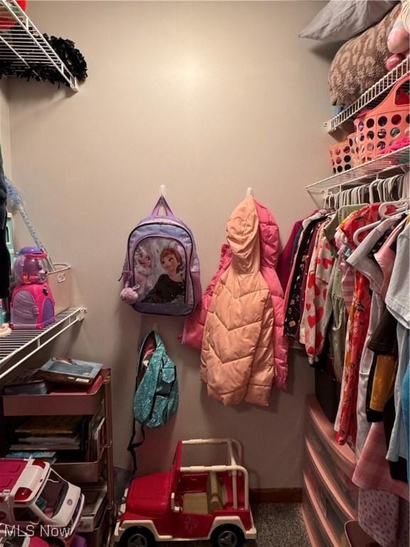 spacious closet featuring carpet floors