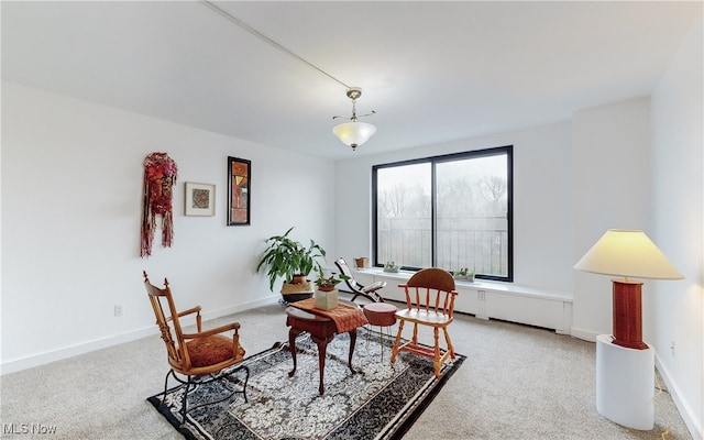 interior space with carpet floors