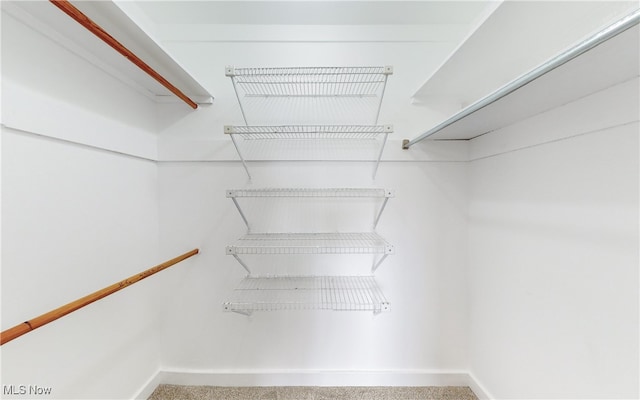 walk in closet with carpet floors