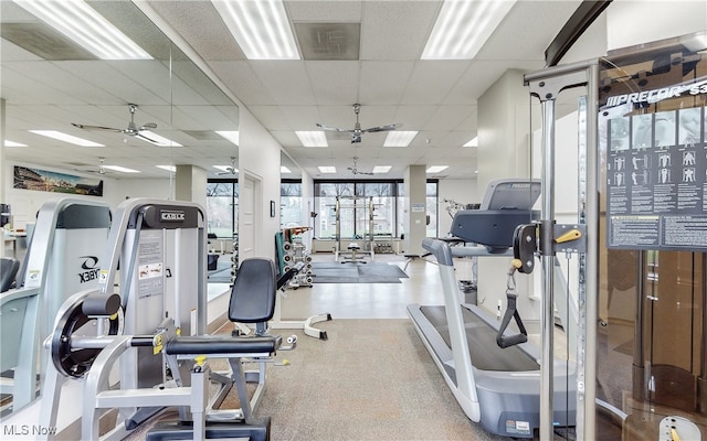 gym featuring ceiling fan, a paneled ceiling, and a wealth of natural light