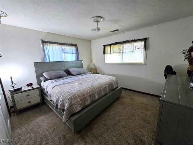 carpeted bedroom featuring multiple windows and a textured ceiling