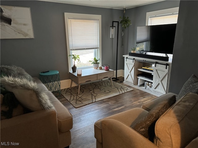 living room with hardwood / wood-style floors