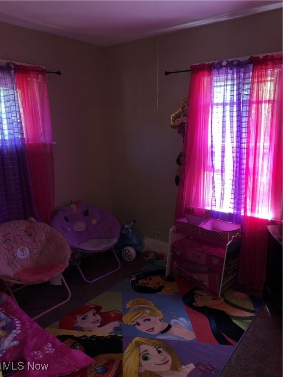 bedroom featuring multiple windows