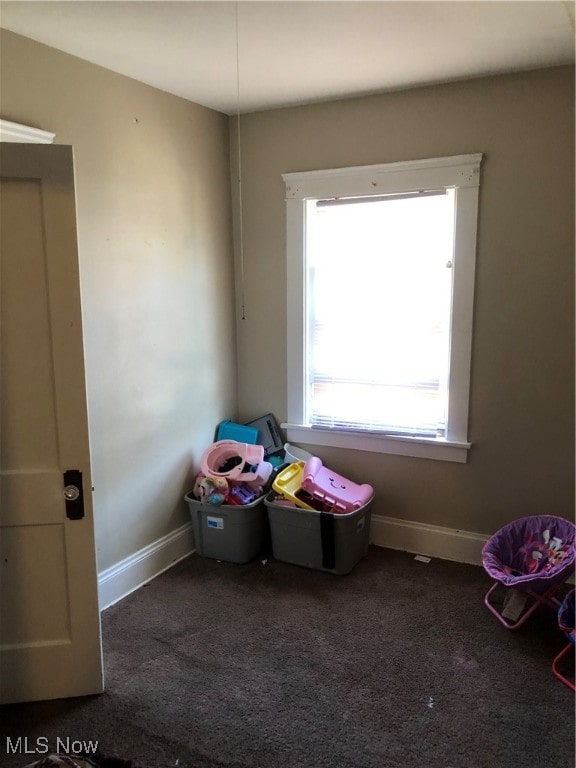 playroom with carpet floors