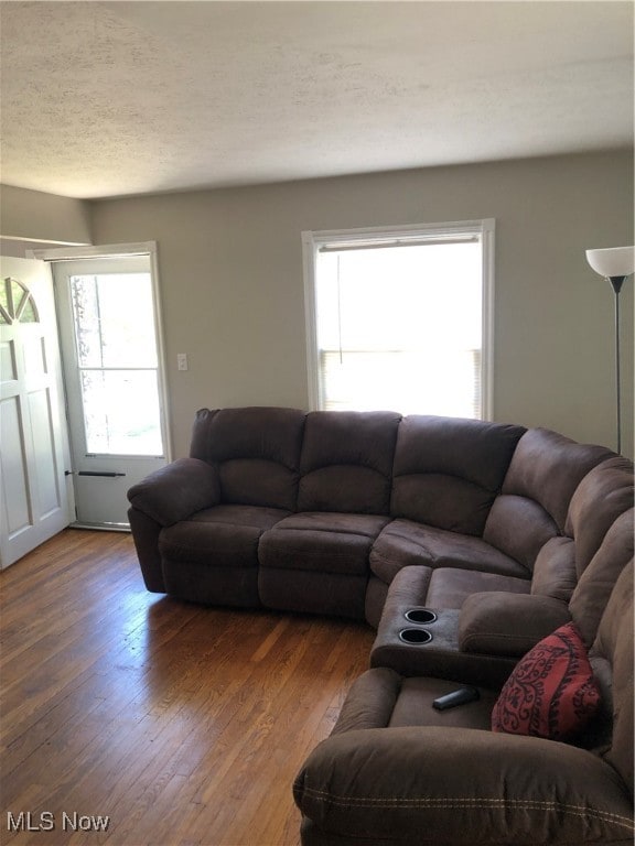 living room with a wealth of natural light and hardwood / wood-style flooring