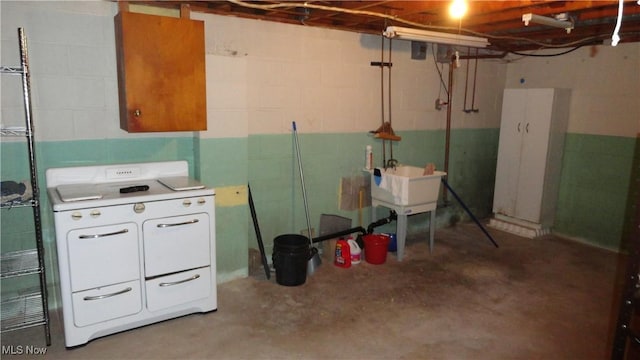 basement featuring sink