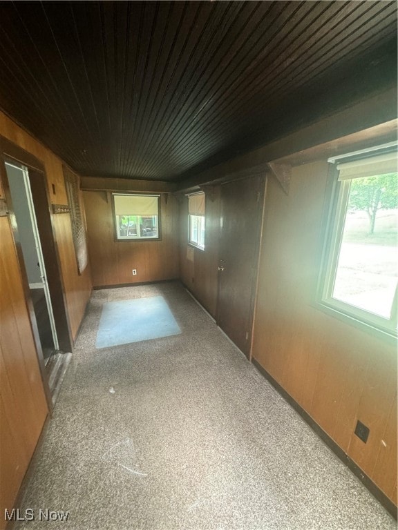 interior space with wood walls and carpet floors