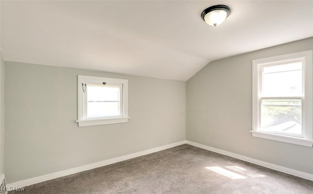 additional living space featuring vaulted ceiling and carpet floors