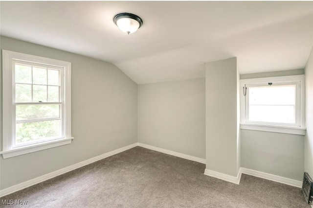 additional living space with lofted ceiling and carpet