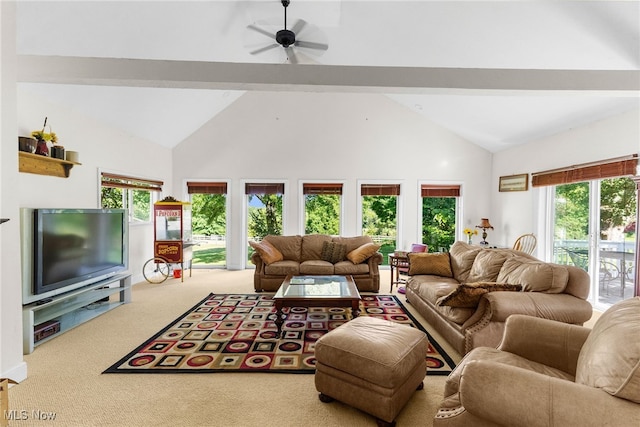 carpeted living room with high vaulted ceiling and ceiling fan