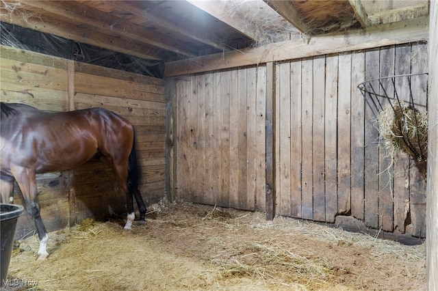 view of horse barn