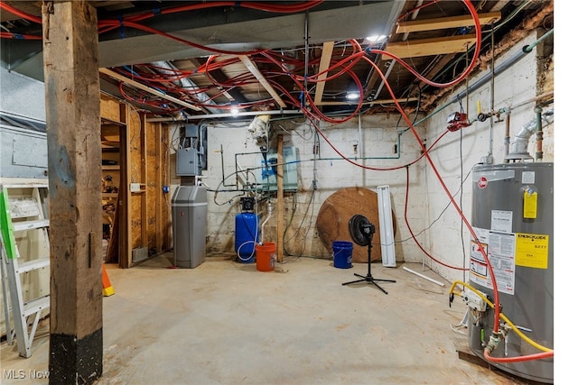 basement featuring electric panel and gas water heater