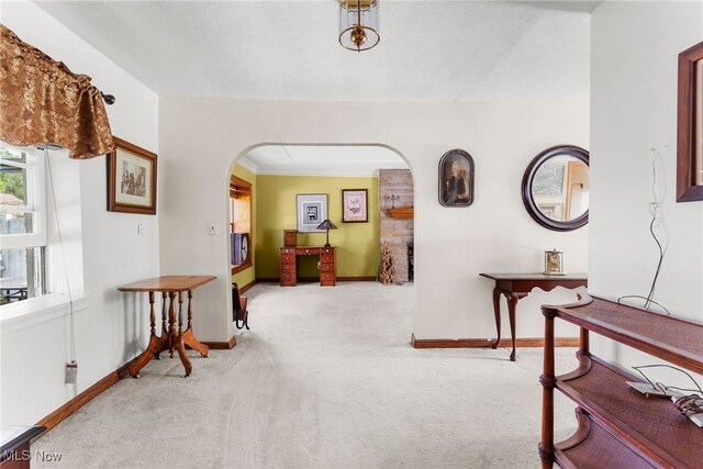 hallway with ornamental molding and carpet floors