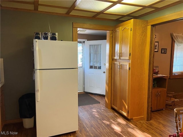 kitchen featuring dark hardwood / wood-style flooring and white refrigerator