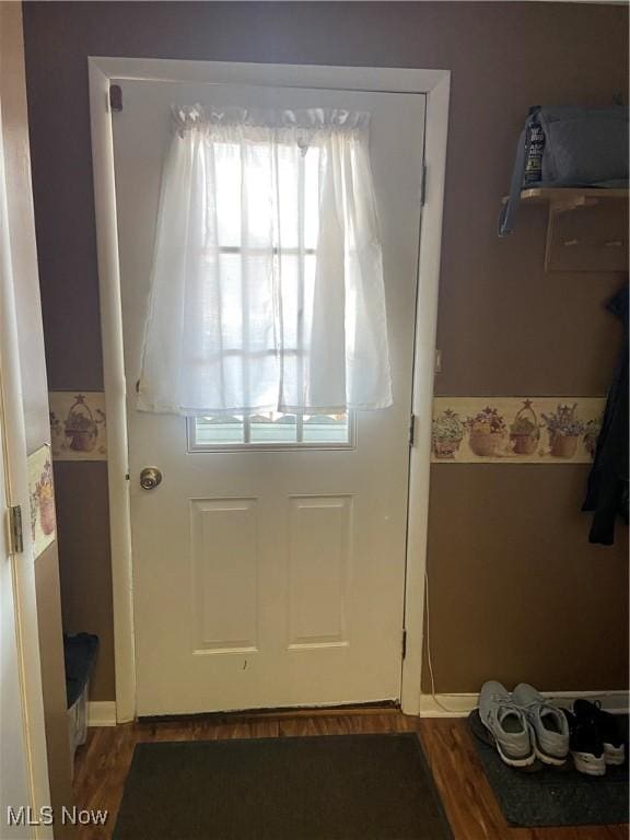 entryway featuring dark hardwood / wood-style flooring