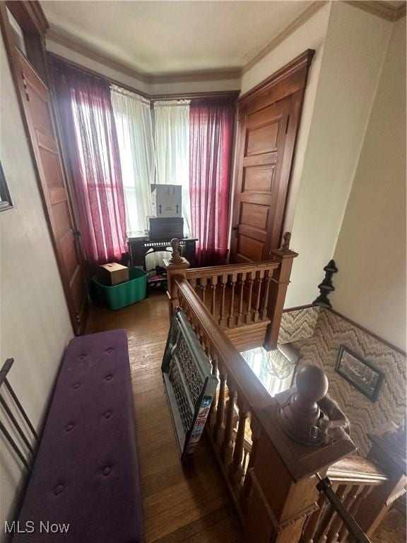 bedroom featuring dark hardwood / wood-style flooring