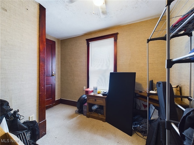 office featuring ceiling fan, a textured ceiling, and carpet