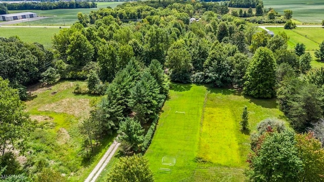 drone / aerial view featuring a rural view