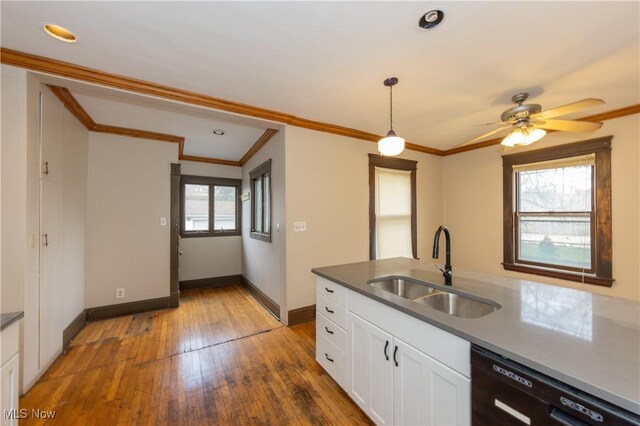 2572-2574 Mayfield Rd, Cleveland Heights, OH 44106 - kitchen featuring dishwasher, white cabinets, hardwood / wood-style floors, ceiling fan, and decorative light fixtures