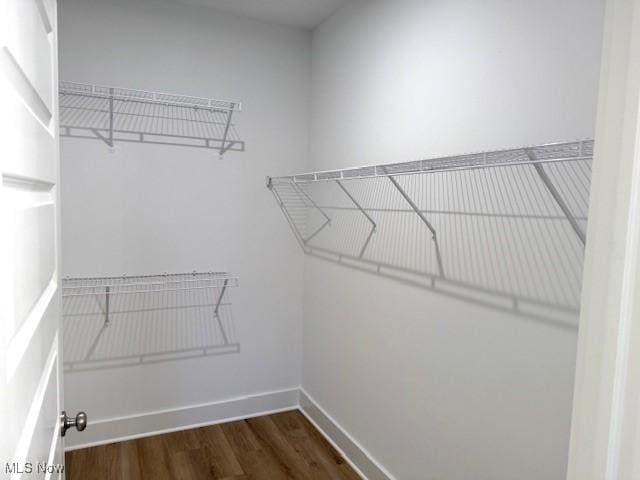 walk in closet featuring dark hardwood / wood-style flooring