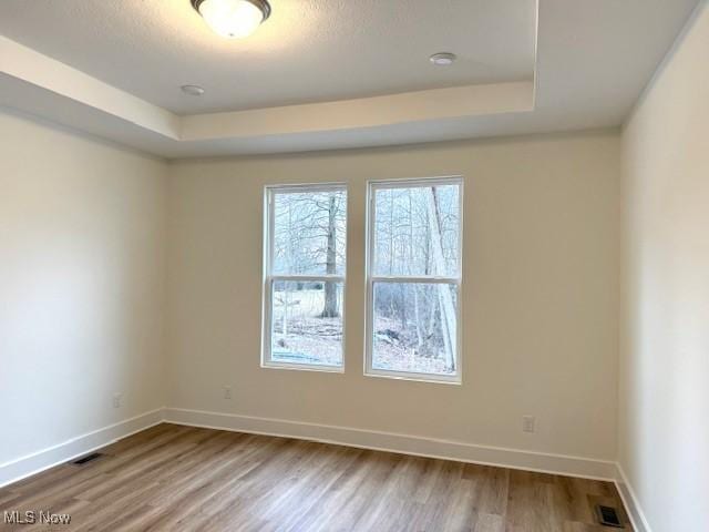 spare room featuring wood-type flooring and a raised ceiling