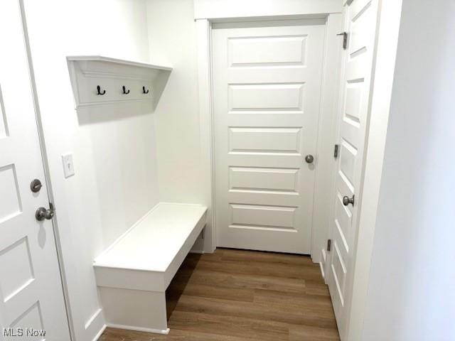 mudroom with wood-type flooring