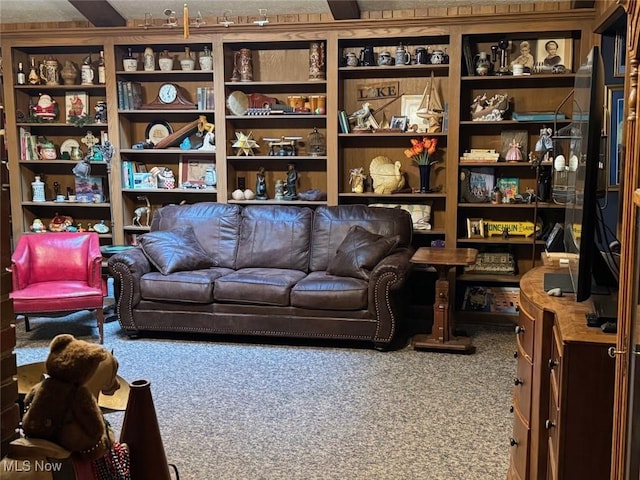 sitting room with carpet flooring