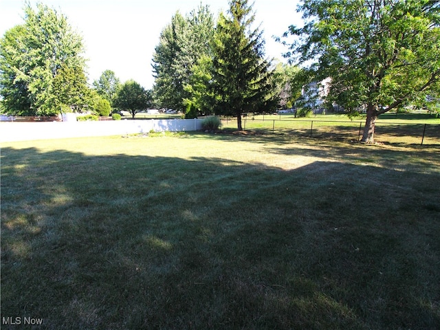 view of yard