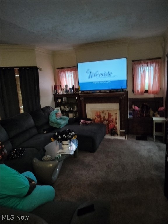 living room featuring a fireplace and carpet floors