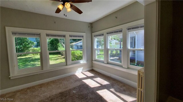 unfurnished room featuring ceiling fan and carpet