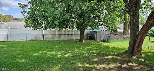 view of yard with a fenced backyard